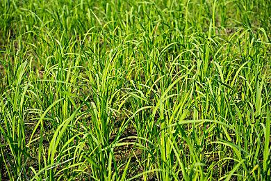 《无限暖暖》公布1.1版本“流星季” 12月30日上线